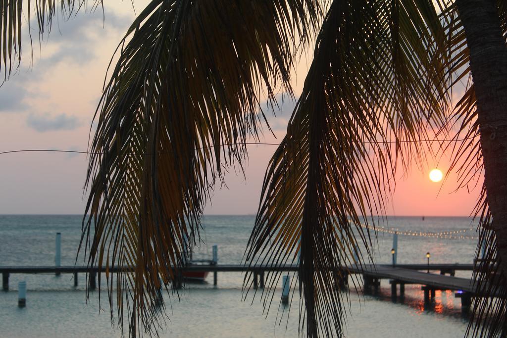 Aruba Surfside Marina Oranjestad Exterior foto